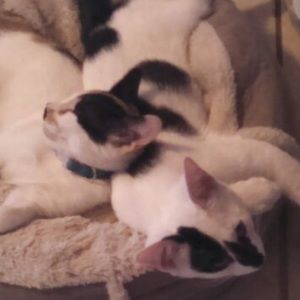 Meet your Posher, Hope